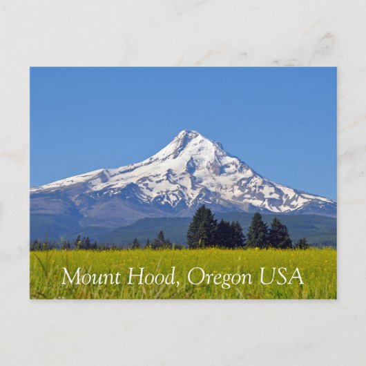 Carte Postale Mont Hood en Oregon USA (Devant)