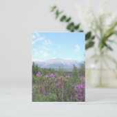 Carte Postale Mont Katahdin et fleurs sauvages (Debout devant)