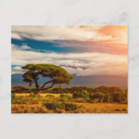 Mont Kilimandjaro | Amboseli, Kenya