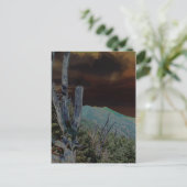 Carte Postale Mont Mitchell, Caroline du Nord (Debout devant)