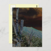 Carte Postale Mont Mitchell, Caroline du Nord (Devant / Derrière)