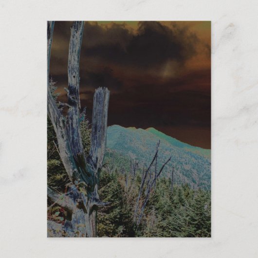 Carte Postale Mont Mitchell, Caroline du Nord (Devant)