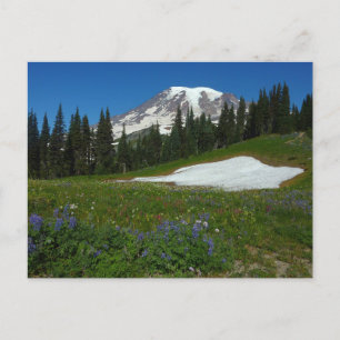 Carte Postale Mont Rainier, Fleurs sauvages et Neige