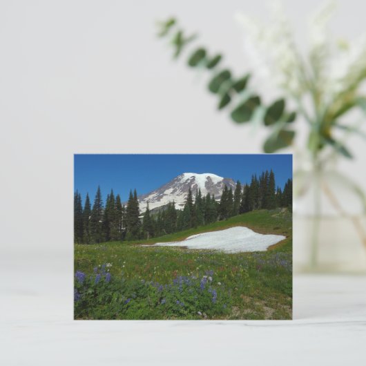 Carte Postale Mont Rainier, Fleurs sauvages et neige (Debout devant)