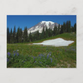 Carte Postale Mont Rainier, Fleurs sauvages et neige (Devant)
