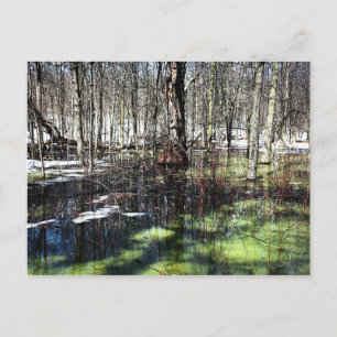 Carte Postale Mont-Royal