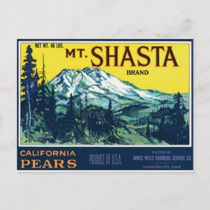 Carte Postale Mont Shasta Californie CA Pears Étiquette Vintage