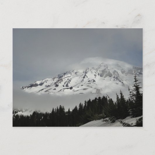 Carte Postale Mont Snowy Rainier (Devant)
