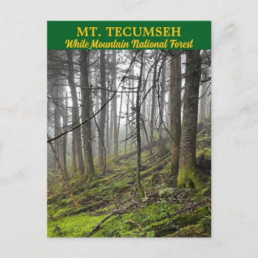 Carte postale Mont Tecumseh White Mountains (Devant)