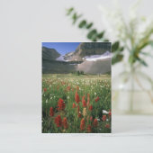 CARTE POSTALE MONT TIMPANOGOS WILDERNESS, UT, US, (Debout devant)