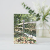 Carte Postale Mont Vernon (Debout devant)