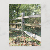 Carte Postale Mont Vernon (Devant)