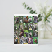 Carte Postale Montage de primates singes (Debout devant)