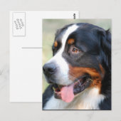 Carte postale Montagne Bernese (Devant / Derrière)