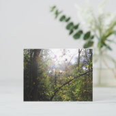 Carte Postale montagne cascade (Debout devant)