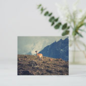 Carte Postale Montagne de Guanaco (Debout devant)