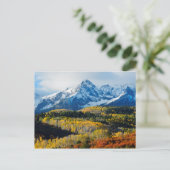 Carte Postale Montagne et arbres neigeux (Debout devant)