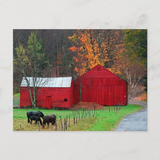 Carte Postale Montagne Hunter (Devant)