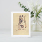 Carte Postale Montagne Terrier blanc occidentale (Debout devant)