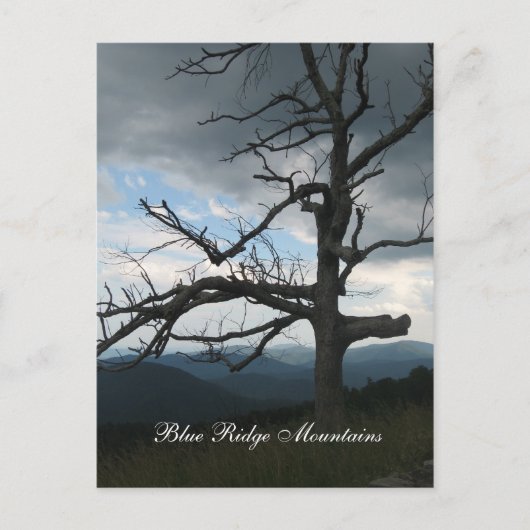 Carte Postale montagnes Blue Ridge (Devant)