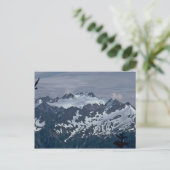 Carte Postale Montagnes dalmatiennes (Debout devant)