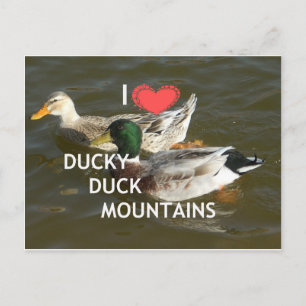 Carte Postale Montagnes de canards.