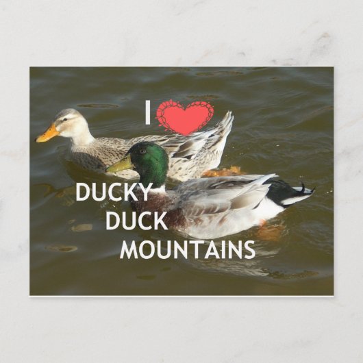 Carte Postale Montagnes de canards. (Devant)