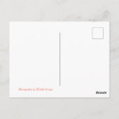 Carte postale Montagnes de superstition (Dos)