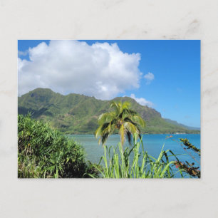 Carte Postale Montagnes et palmiers