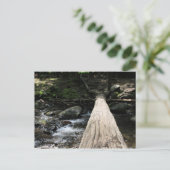 Carte Postale Montagnes fumées (Debout devant)