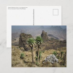 Carte Postale Montagnes Simien Éthiopie