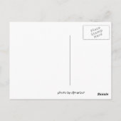 CARTE POSTALE MONTANA (Dos)