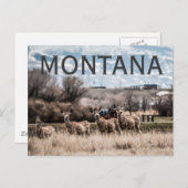 CARTE POSTALE MONTANA (Devant / Derrière)