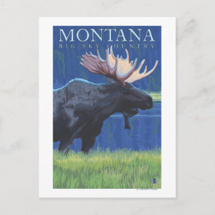 Carte Postale Montana — Big Sky CountryMoose au clair de lune