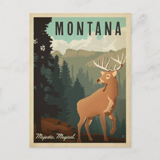 Carte Postale Montana Deer | Majestic, Magique (Devant)