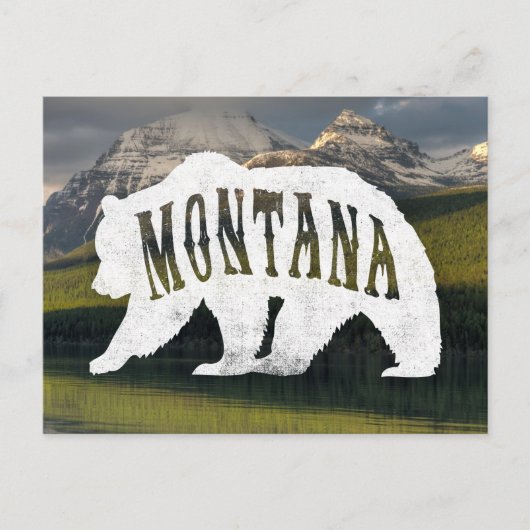 Carte postale Montana Grizzly Bear (Devant)