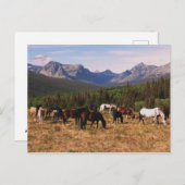 Carte postale Montana Hors (Devant / Derrière)