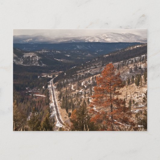 Carte postale Montana Mountain Scenery (Devant)