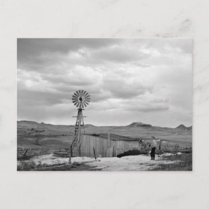 Carte Postale Montana Sheep Ranch, 1942