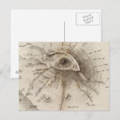 Carte Postale Monte Vesuve (Devant / Derrière)