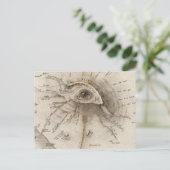 Carte Postale Monte Vesuve (Debout devant)