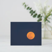 Carte Postale Montée de la lune de la Super lune | Savannah, Géo (Debout devant)