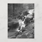 Carte Postale Montée des automnes (Devant)