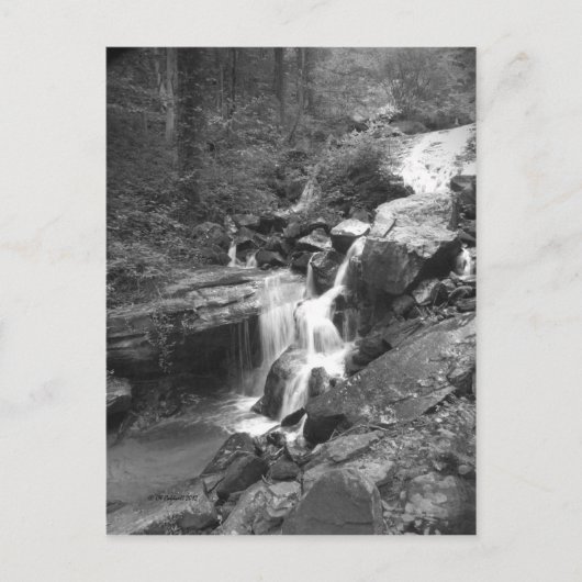 Carte Postale Montée des automnes (Devant)