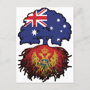 Carte Postale Monténégro Montenegro Australian Tree
