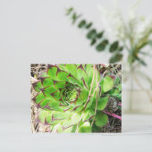 Carte Postale Montepulciano Vino Nobile, Italie (Debout devant)