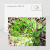 Carte Postale Montepulciano Vino Nobile, Italie (Devant / Derrière)