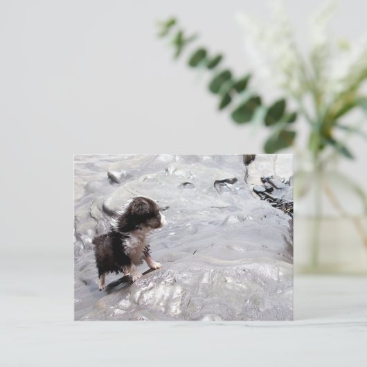 Carte postale Monter (Debout devant)