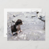 Carte postale Monter (Devant / Derrière)