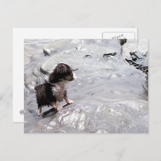 Carte postale Monter (Devant / Derrière)